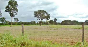 Fazenda 970 hectares nova crixás-go.