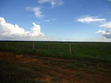 Fazenda com dupla aptidao 7.000,00 hectares
