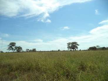 Fazenda em araguaiana 416 ha