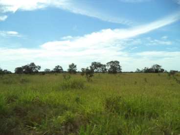 Fazenda em araguaiana 416 ha