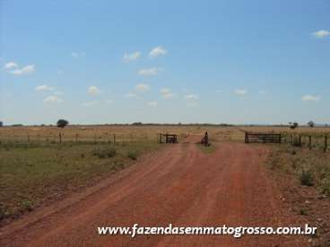 Fazenda jangada / mt 2400 hectares