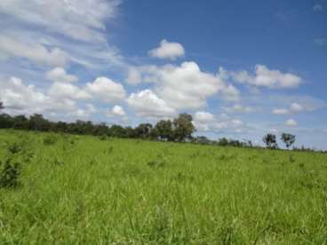 Fazenda no município de canarana-mt