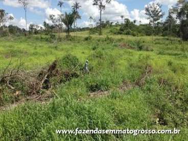 Fazenda nova bandeirantes / mt 720 hectares