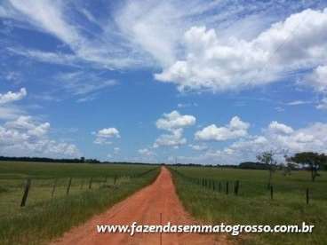 Fazenda pocone / mt 788 hectares