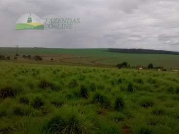 Fazenda soja 3000 hectares sapezal-mt