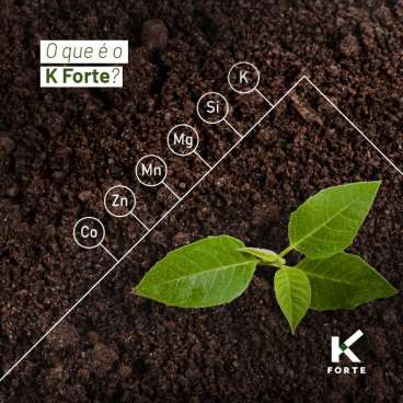 K forte fertilizante mineral (fonte de potássio)