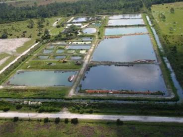 Documentacao aérea de propriedades rurais