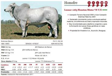 Honofre - pacote c/ 20 doses