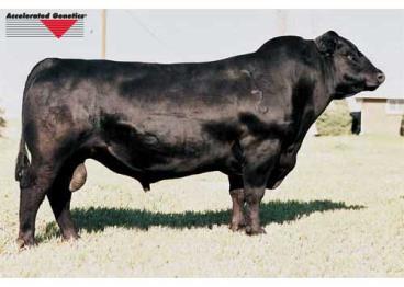 B t ultravox 297e