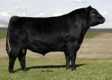 B/r new frontier 095