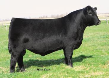 Mcatl pure product 903-55