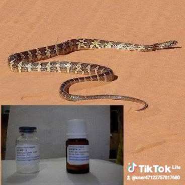 Solim - 1 , produto para espantar cobras venenosa