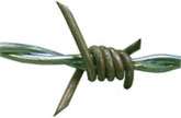 Arame farpado tellare