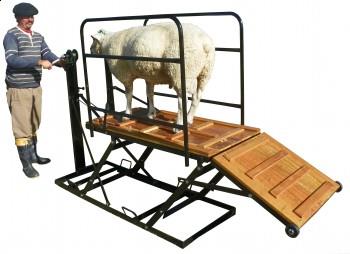 Mesa de tosquia ovinos - 901ov