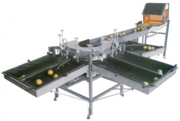 Classificadora de frutas cfty 7/2000