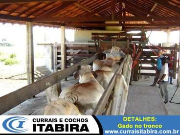 Curral convencional detalhes