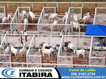 Curral de leilao itabira