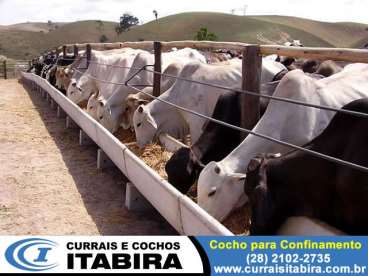 Curral para confinamento itabira