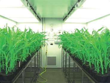Hgr grow rooms