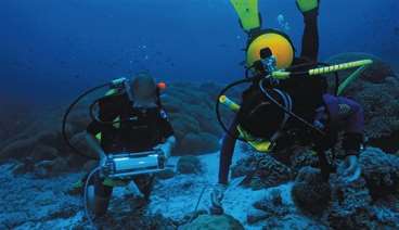 Fluorometro subaquático walz-diving-pam