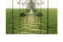 Sistema de irrigacao utilizando pivot
