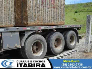 Mata-burro itabira