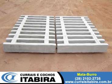 Mata-burro itabira