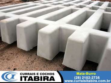 Mata-burro itabira