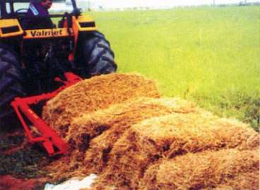 Transportador cortador de fardos agroforn