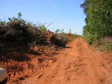 Mt - feliz natal - mt fazendas - Agroads Mt - feliz natal - mt fazendas - Agroads