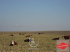 Fazenda a venda no uruguai 5000 hectares
