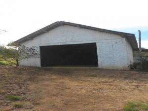 Fazenda em bependi - minas gerais