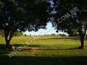 Fazenda a venda em sao francisco - minas gerais