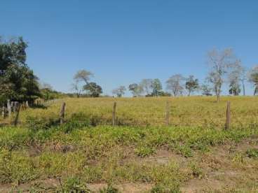 Fazenda de 840 ha