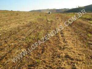 Fazenda a venda em minduri - minas gerais