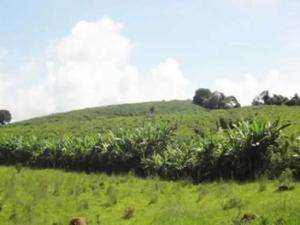 Fazenda em sao lourenco - minas gerais