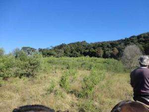 Fazenda em sao goncalo do sapucaí - minas gerais