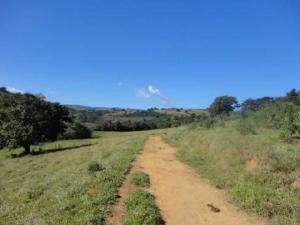 Fazenda em sao goncalo do sapucaí - minas gerais