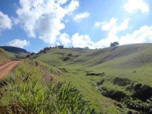 Fazenda de gado no sul de minas - minas gerais