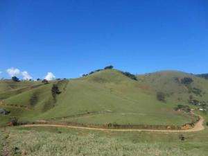 Fazenda de gado no sul de minas - minas gerais