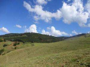 Fazenda de gado no sul de minas - minas gerais