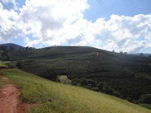 Fazenda no sul de minas - minas gerais