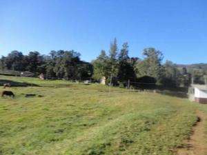 Fazenda em sao goncalo do sapucaí - minas gerais