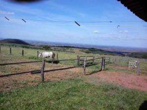 Fazenda em patos de minas - minas gerais