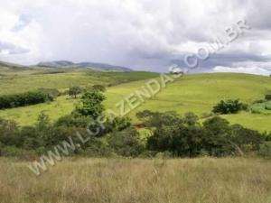 Fazenda em andrelandia - minas gerais