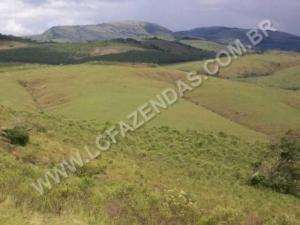 Fazenda em andrelandia - minas gerais