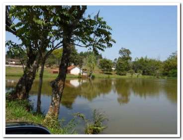 Fazenda regiao norte lavoura eucalipto