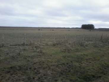 Urgente - 680 hectareas en tacuarembo / uruguay