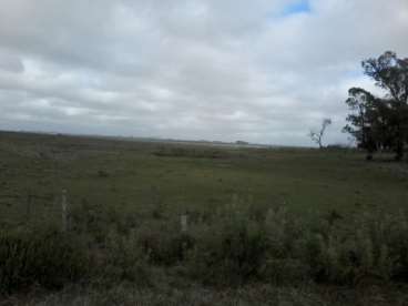 Urgente - 680 hectareas en tacuarembo / uruguay