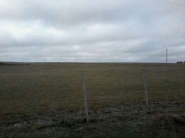 Urgente - 680 hectareas en tacuarembo / uruguay